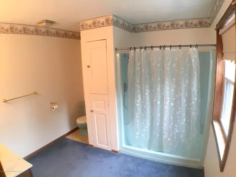 34 Elm Cir, Sunfield, MI 48890 photo 15