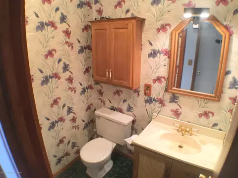 34 Elm Cir, Sunfield, MI 48890 photo 14