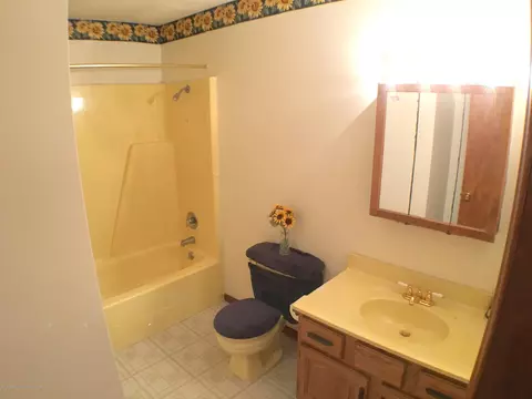 34 Elm Cir, Sunfield, MI 48890 photo 21