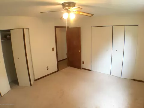 34 Elm Cir, Sunfield, MI 48890 photo 23