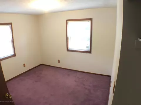 34 Elm Cir, Sunfield, MI 48890 photo 19