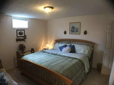 459 Red Cedar Blvd, Williamston, MI 48895 photo 17