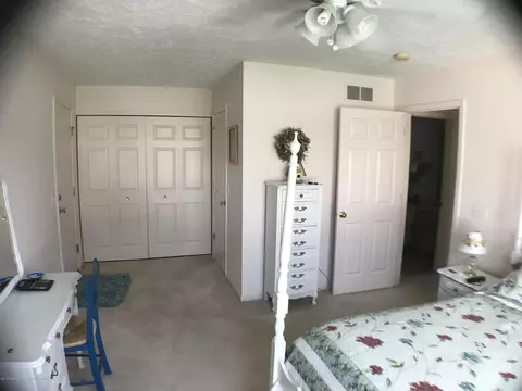 459 Red Cedar Blvd, Williamston, MI 48895 photo 11