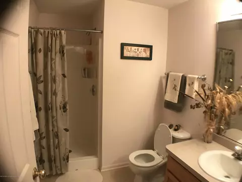 459 Red Cedar Blvd, Williamston, MI 48895 photo 18