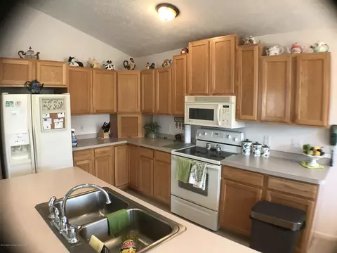 459 Red Cedar Blvd, Williamston, MI 48895 photo 8
