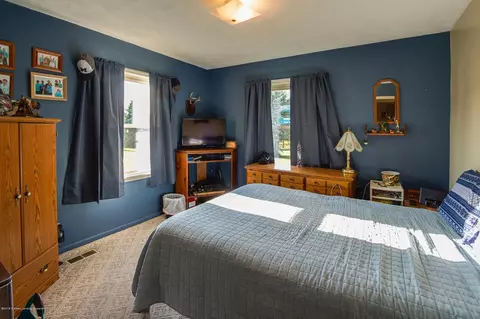 10487 S Francis Rd, Dewitt, MI 48820 photo 28