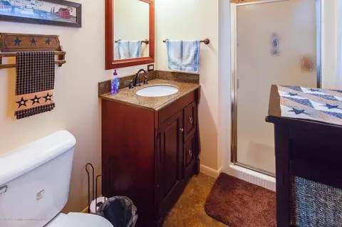 10487 S Francis Rd, Dewitt, MI 48820 photo 27