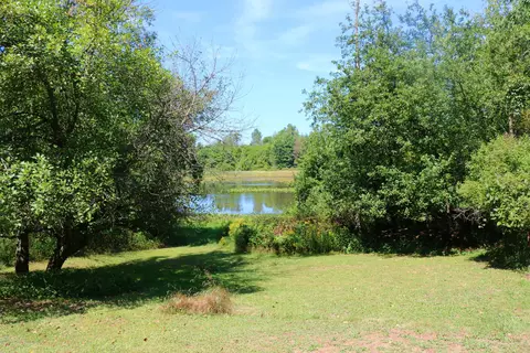 13141 S Lowell Rd, Dewitt, MI 48820 photo 21