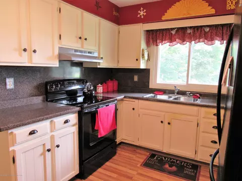 10491 Pioneer Rd, Eagle, MI 48822 photo 8