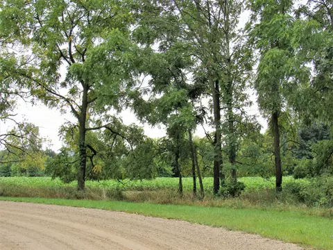 10491 Pioneer Rd, Eagle, MI 48822 photo 32