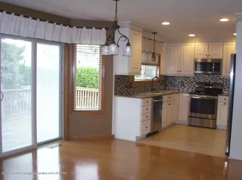 12740 Ontonagon Dr, Dewitt, MI 48820 photo 4