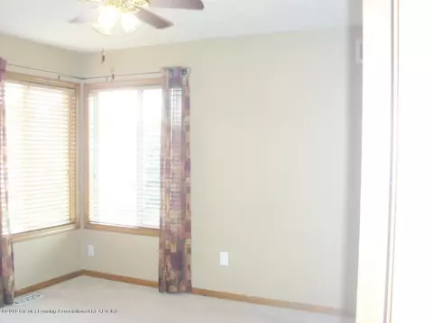 12740 Ontonagon Dr, Dewitt, MI 48820 photo 8