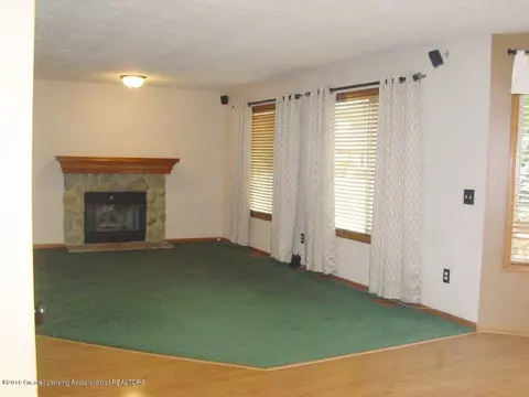 12740 Ontonagon Dr, Dewitt, MI 48820 photo 6