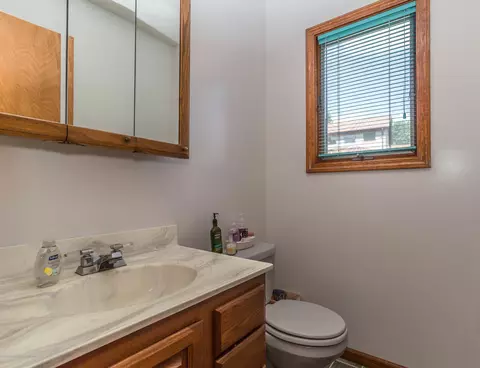 357 Tanbark Dr, Dimondale, MI 48821 photo 16