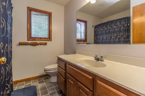 357 Tanbark Dr, Dimondale, MI 48821 photo 19