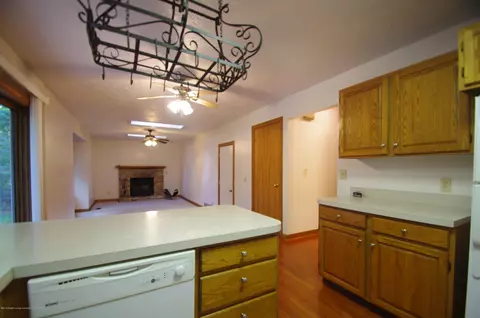 3891 W Herbison Rd, Dewitt, MI 48820 photo 11