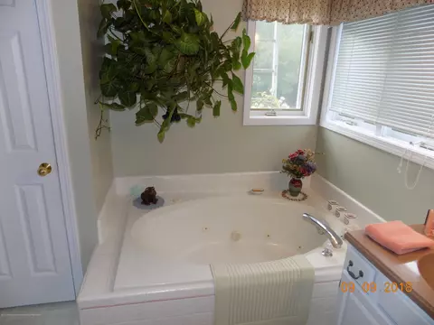 3985 Camperdown Dr, Lansing, MI 48911 photo 21