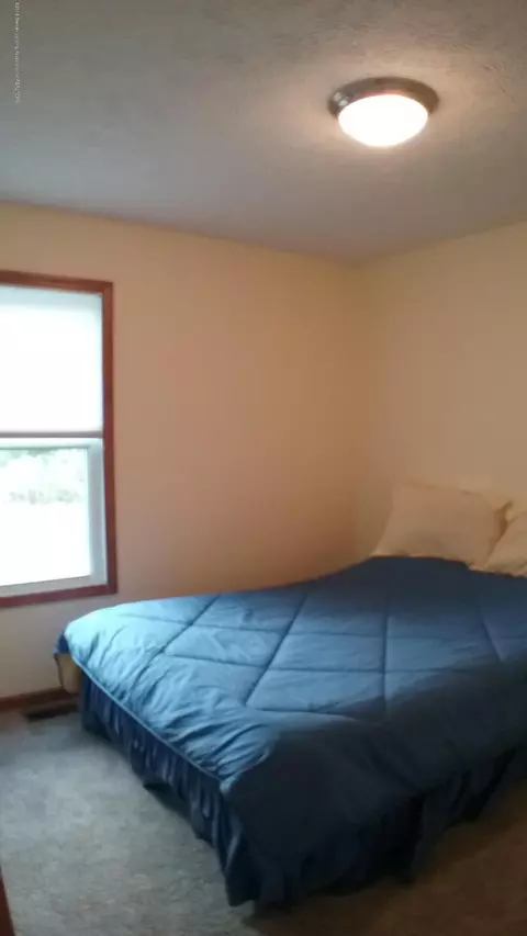 3710 Danbridge Dr, Lansing, MI 48906 photo 22