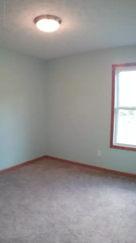 3710 Danbridge Dr, Lansing, MI 48906 photo 23