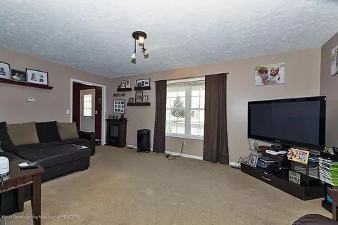 314 E Saphire Ave, Morrice, MI 48857 photo 2
