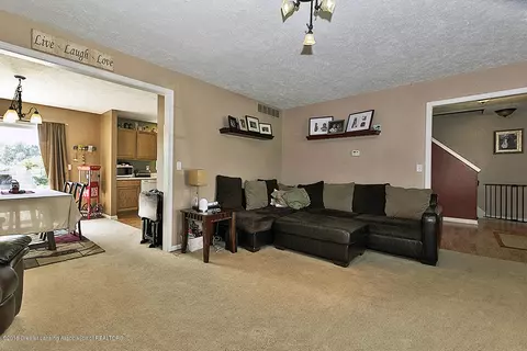 314 E Saphire Ave, Morrice, MI 48857 photo 4