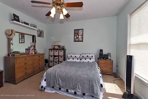 314 E Saphire Ave, Morrice, MI 48857 photo 10