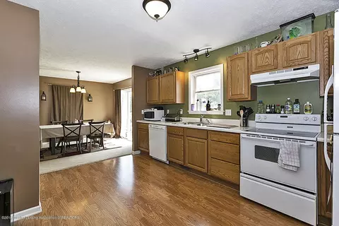 314 E Saphire Ave, Morrice, MI 48857 photo 6