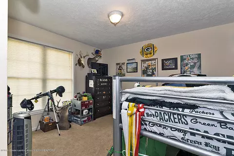 314 E Saphire Ave, Morrice, MI 48857 photo 14