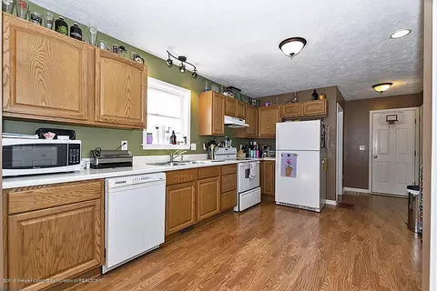 314 E Saphire Ave, Morrice, MI 48857 photo 7