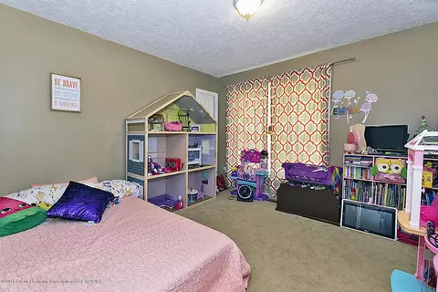 314 E Saphire Ave, Morrice, MI 48857 photo 16