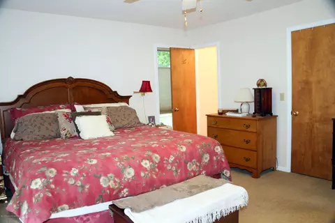 1163 Buckingham Rd, Haslett, MI 48840 photo 26