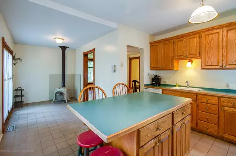 115 Elm St, Mason, MI 48854 photo 17