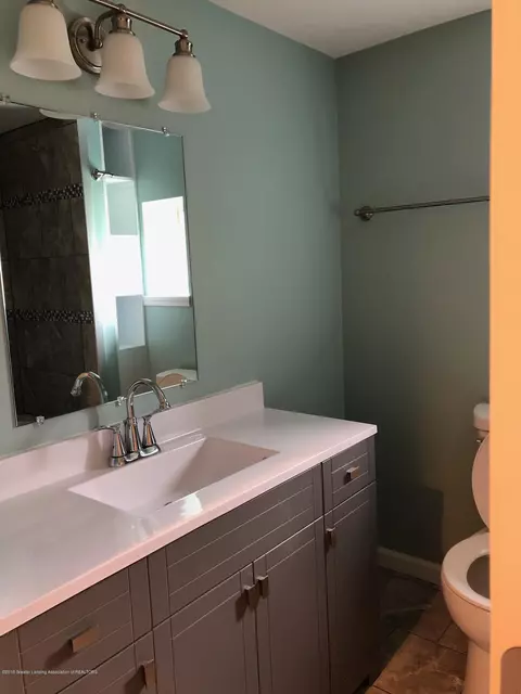 253 Pine St, Dimondale, MI 48821 photo 12