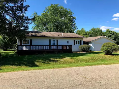 253 Pine St, Dimondale, MI 48821 photo 1