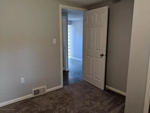 253 Pine St, Dimondale, MI 48821 photo 23