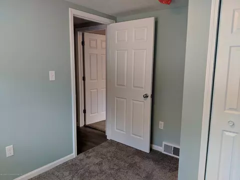 253 Pine St, Dimondale, MI 48821 photo 24