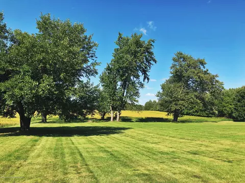 13182 W Howe Rd, Eagle, MI 48822 photo 18