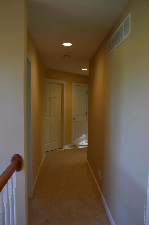 12860 Chartreuse Dr, Dewitt, MI 48820 photo 16