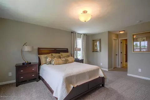 12425 Warm Creek Dr, Dewitt, MI 48820 photo 17