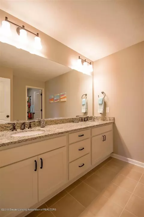 12425 Warm Creek Dr, Dewitt, MI 48820 photo 22