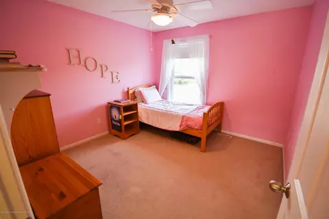 11592 Sara Ann Dr, Dewitt, MI 48820 photo 19