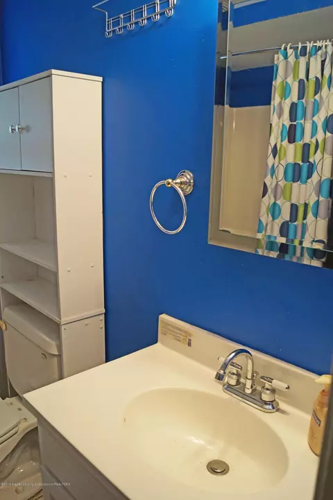 508 Chilson Ave, Lansing, MI 48906 photo 16