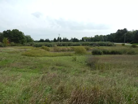 8148 W Beard Rd, Perry, MI 48872 photo 9