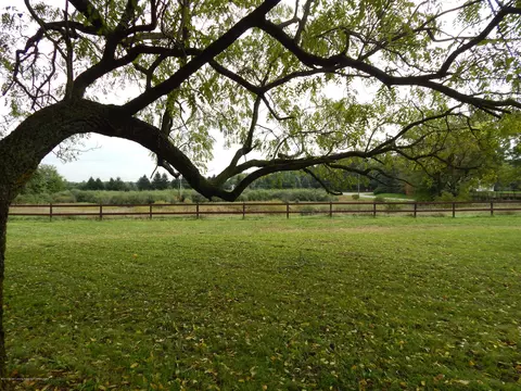 8148 W Beard Rd, Perry, MI 48872 photo 8