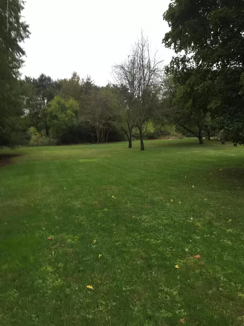 3445 Rolfe Rd, Mason, MI 48854 photo 3