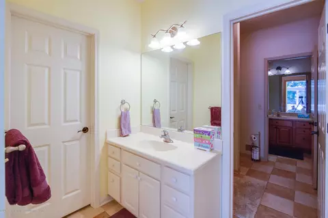 11545 Durham Way, Dewitt, MI 48820 photo 33