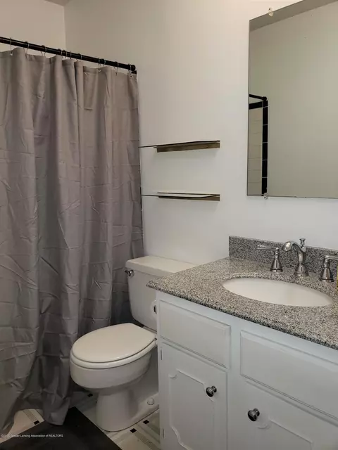 13081 Southwind Ln, Dewitt, MI 48820 photo 22