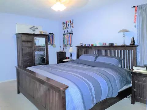 13081 Southwind Ln, Dewitt, MI 48820 photo 17