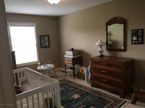 11720 Murano Dr, Dewitt, MI 48820 photo 30