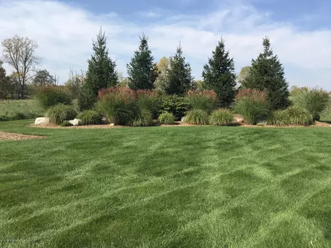 11720 Murano Dr, Dewitt, MI 48820 photo 2